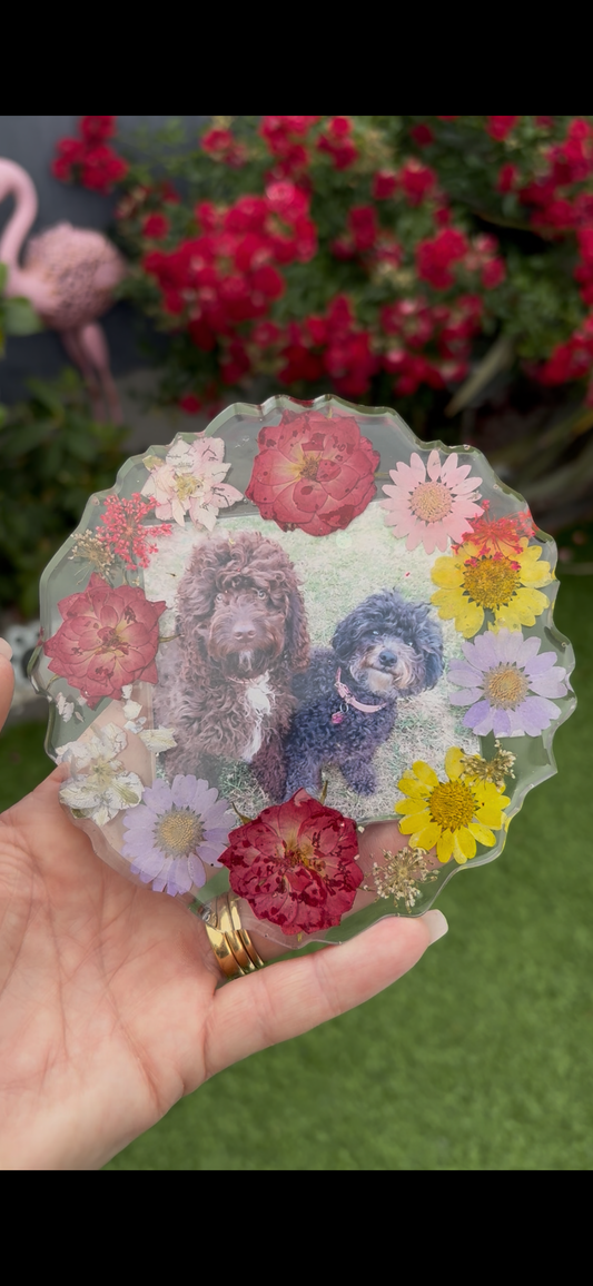 Memory coaster